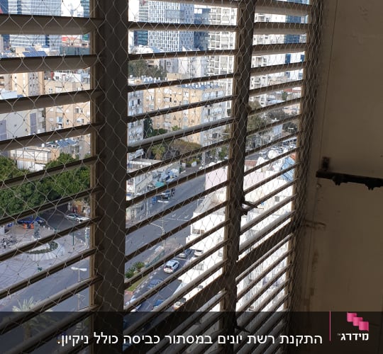 רשת מתכת על חלון למניעת כניסת יונים